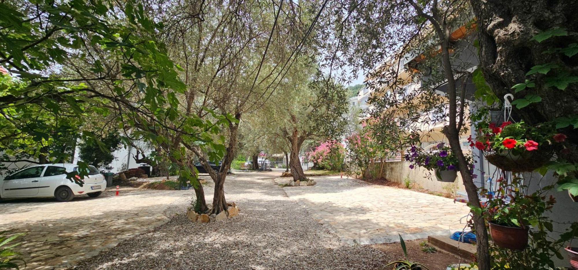 Medin Apartments Bluvista Petrovac Екстер'єр фото
